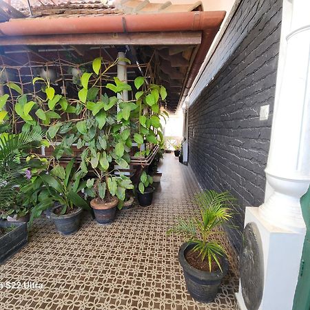 Kairali Palace Home Stay تيكَدِيْ المظهر الخارجي الصورة