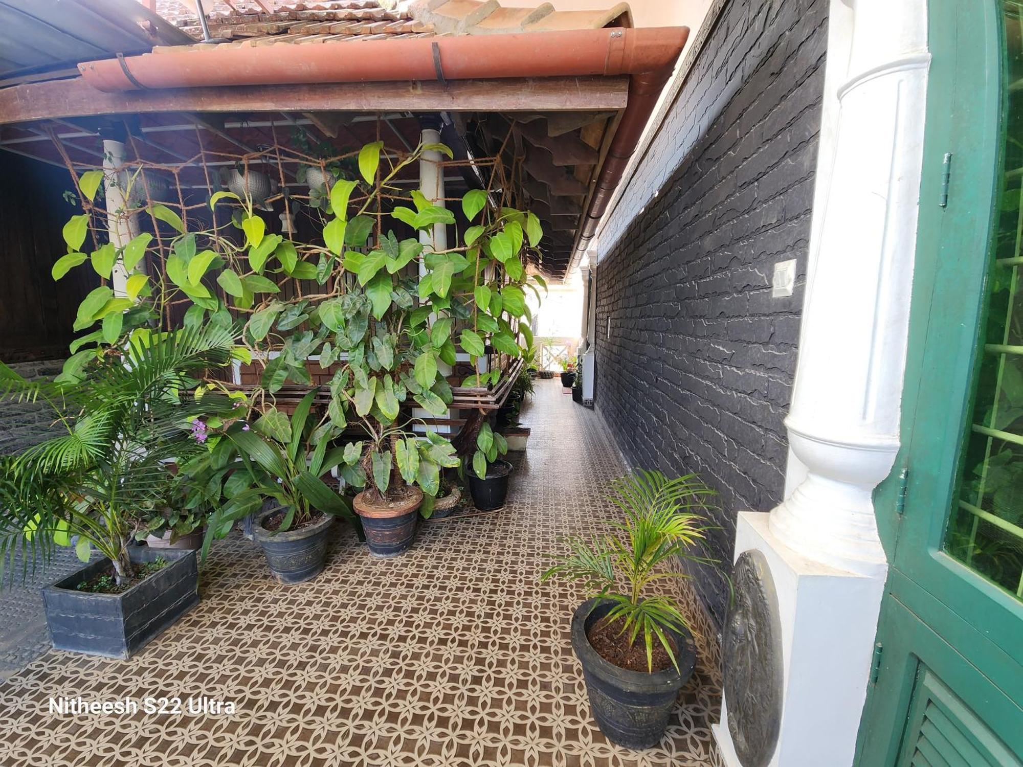 Kairali Palace Home Stay تيكَدِيْ المظهر الخارجي الصورة