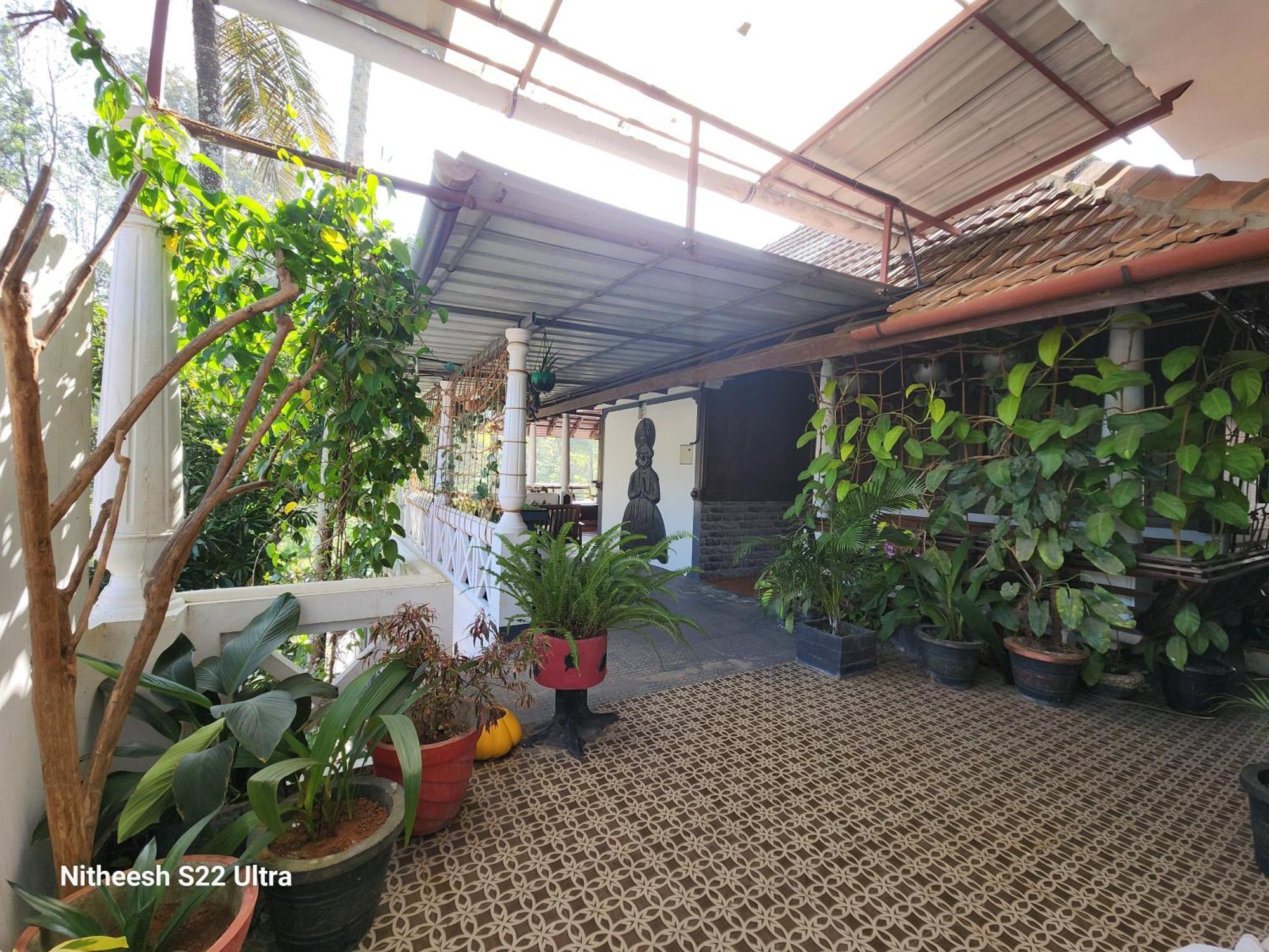 Kairali Palace Home Stay تيكَدِيْ المظهر الخارجي الصورة