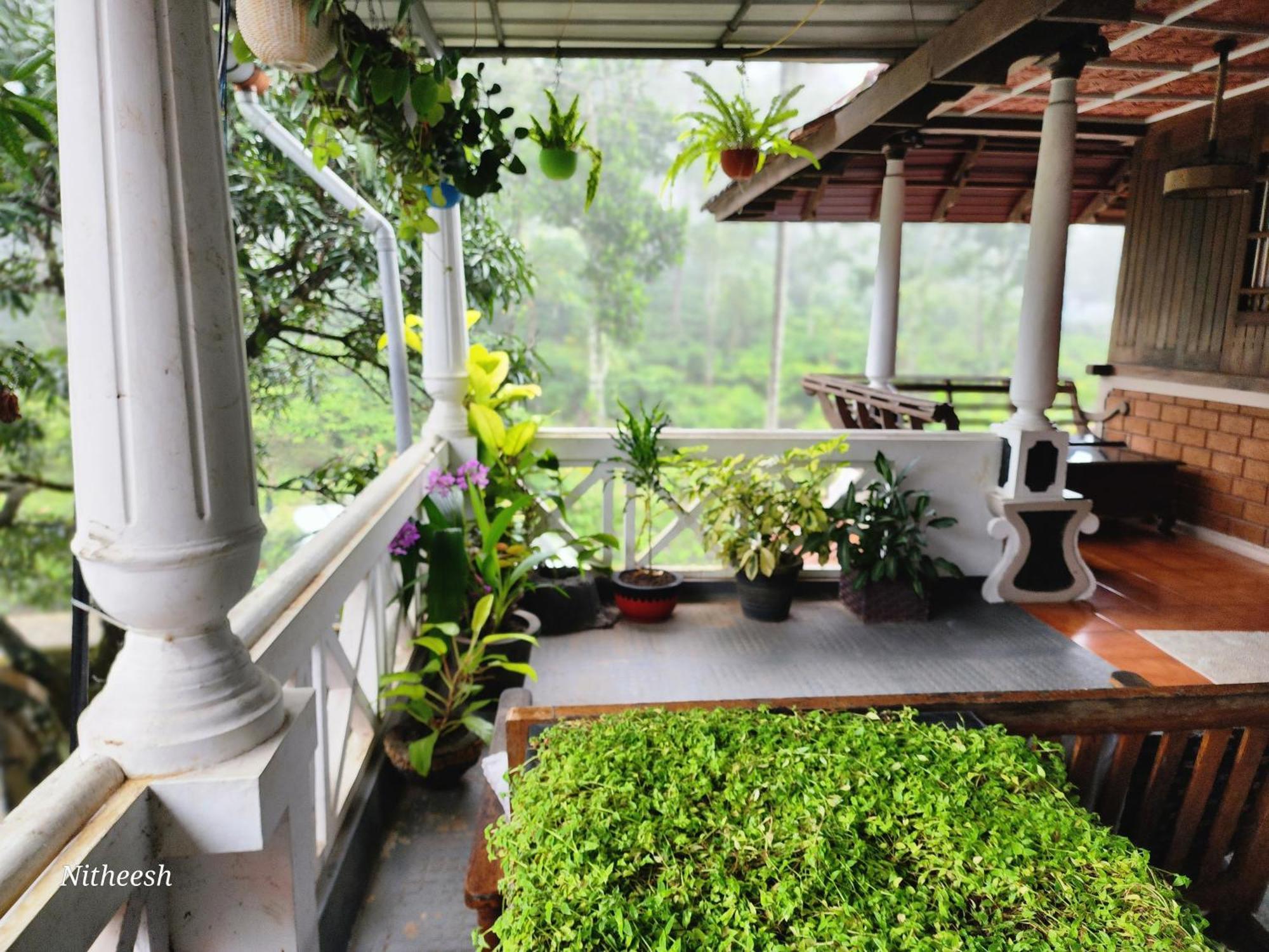 Kairali Palace Home Stay تيكَدِيْ المظهر الخارجي الصورة